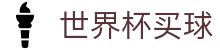FIFA世界杯买球（中国）官方网站 · 网页版入口